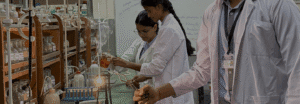 list-of-top-schools-in-noida